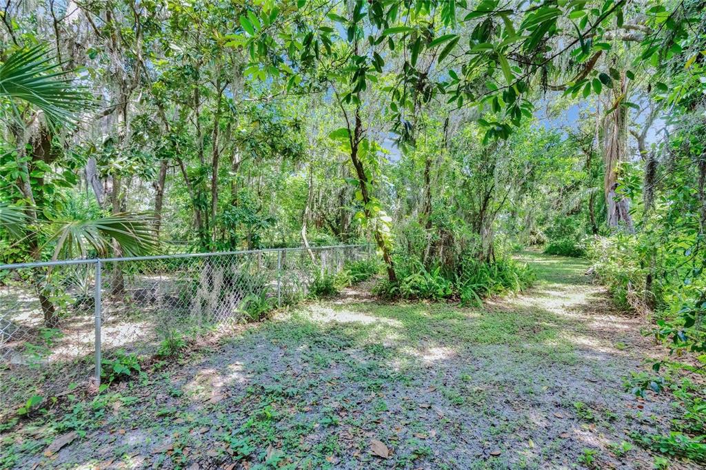 3102 East Trapnell Road Plant City, FL 33566 - Photo 40 of 100