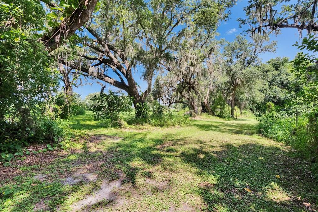 3102 East Trapnell Road Plant City, FL 33566 - Photo 42 of 100