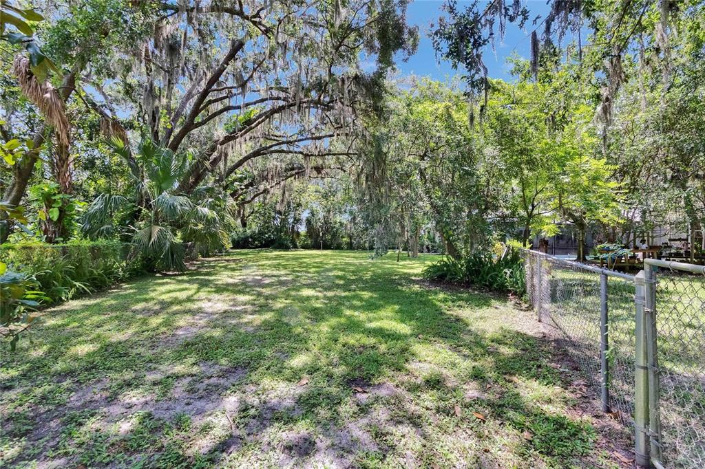 3102 East Trapnell Road Plant City, FL 33566 - Photo 43 of 100 a view of outdoor space and yard
