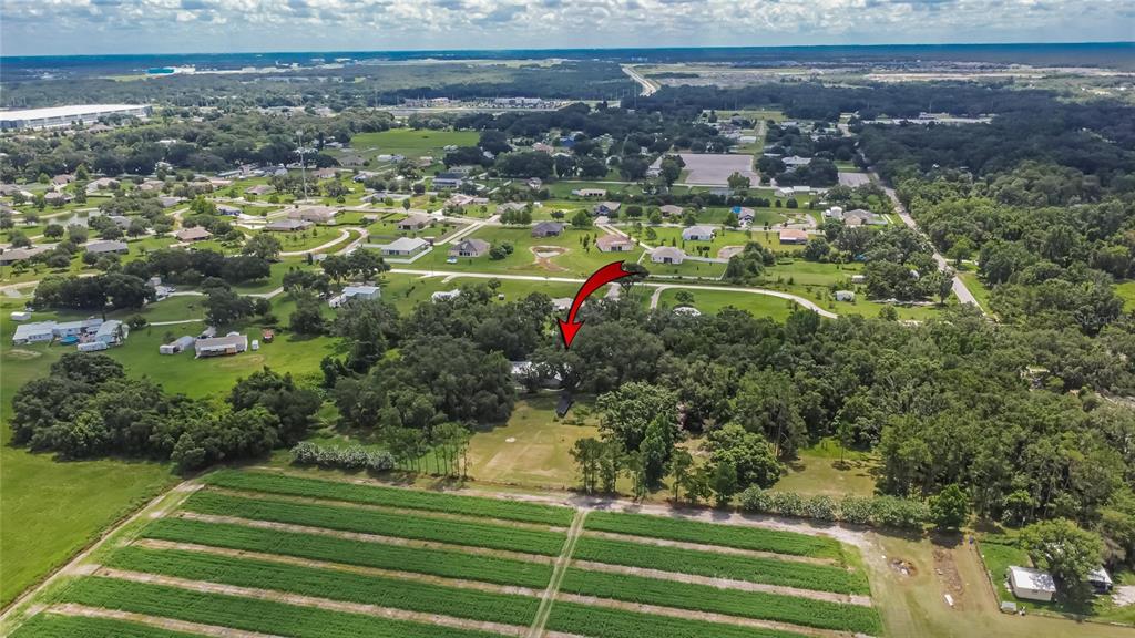 3102 East Trapnell Road Plant City, FL 33566 - Photo 50 of 100