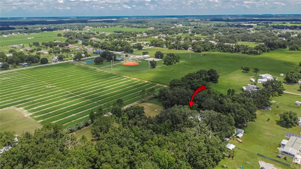 3102 East Trapnell Road Plant City, FL 33566 - Photo 52 of 100 a view of a green field