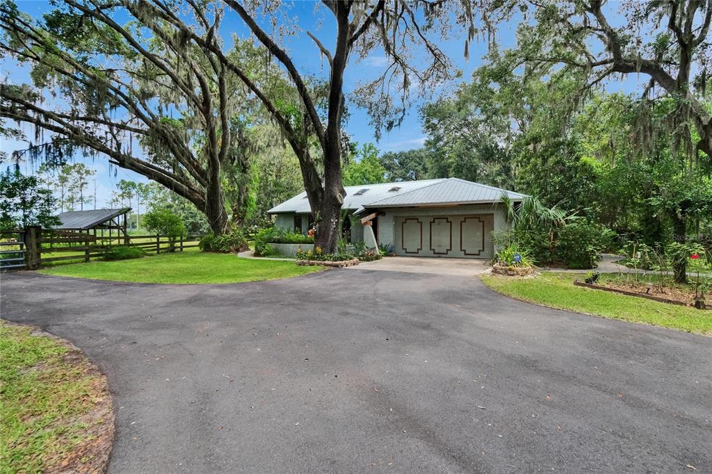 3102 East Trapnell Road Plant City, FL 33566 - Photo 9 of 100 a view of an house with backyard and a tree
