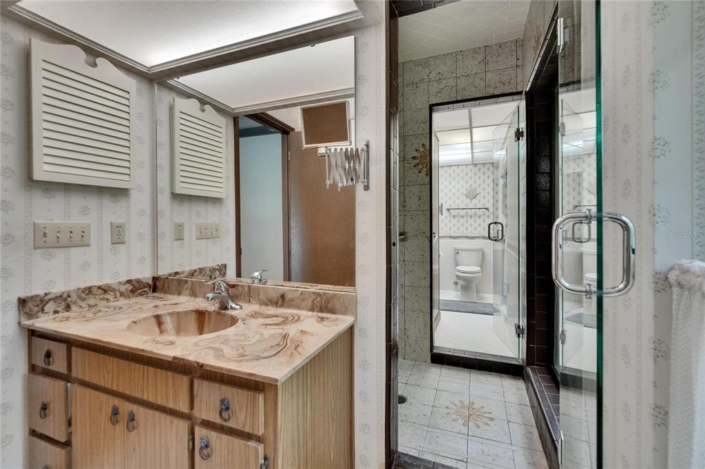 3102 East Trapnell Road Plant City, FL 33566 - Photo 96 of 100 a bathroom with a sink and a mirror