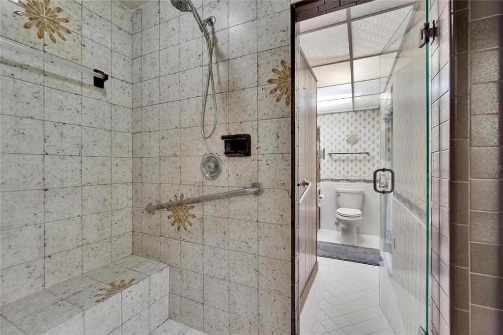 3102 East Trapnell Road Plant City, FL 33566 - Photo 97 of 100 a bathroom with a shower and a toilet