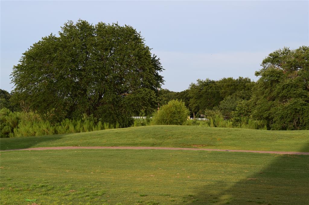 27101 Meadowmore Court Whitney, TX 76692 - Photo 22 of 31 a view of a field with a trees