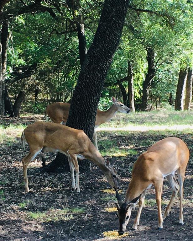 27101 Meadowmore Court Whitney, TX 76692 - Photo 29 of 31 a view of a yard with furniture and a yard