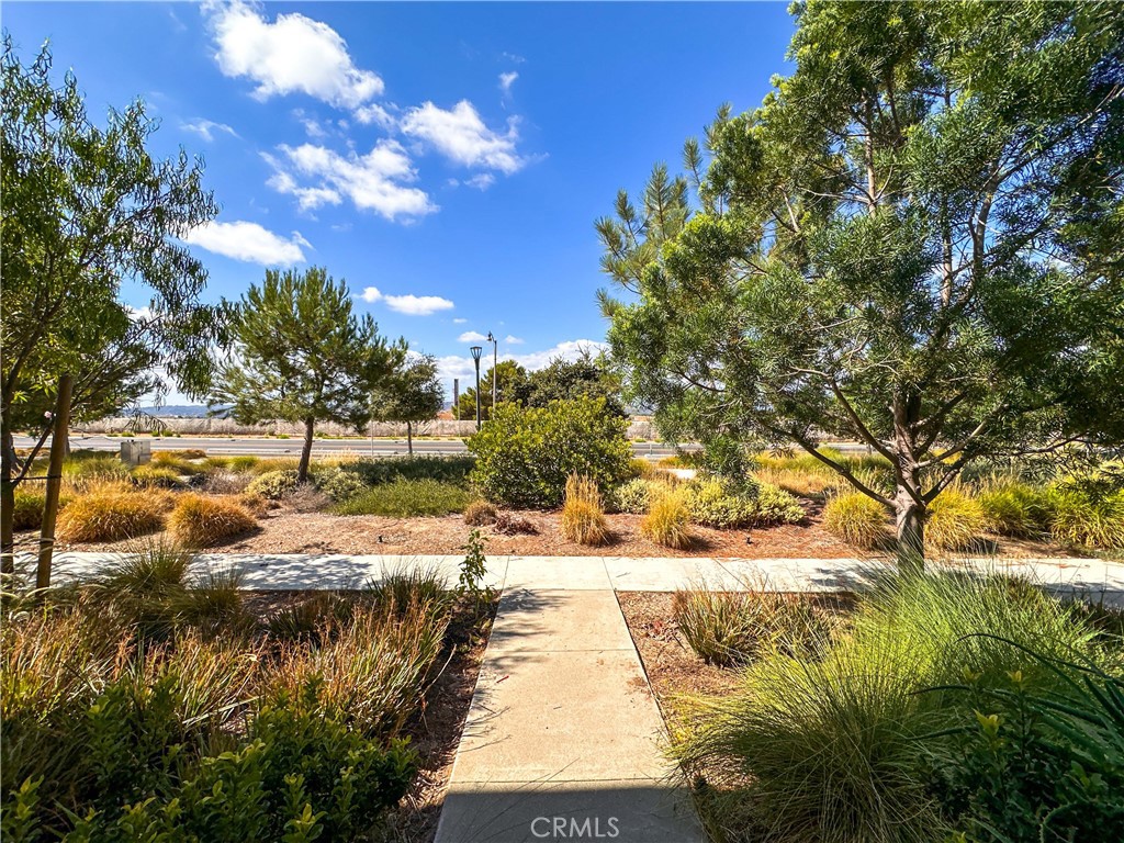 168 Spectacle Irvine, CA 92618 - Photo 3 of 42 a view of a yard with swimming pool