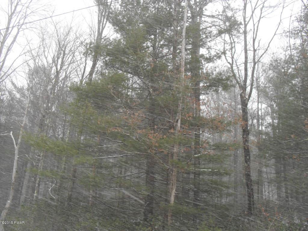 Lot#39 Lake Ridge Road Narrowsburg, NY 12764 - Photo 2 of 4 Gallery Image 2