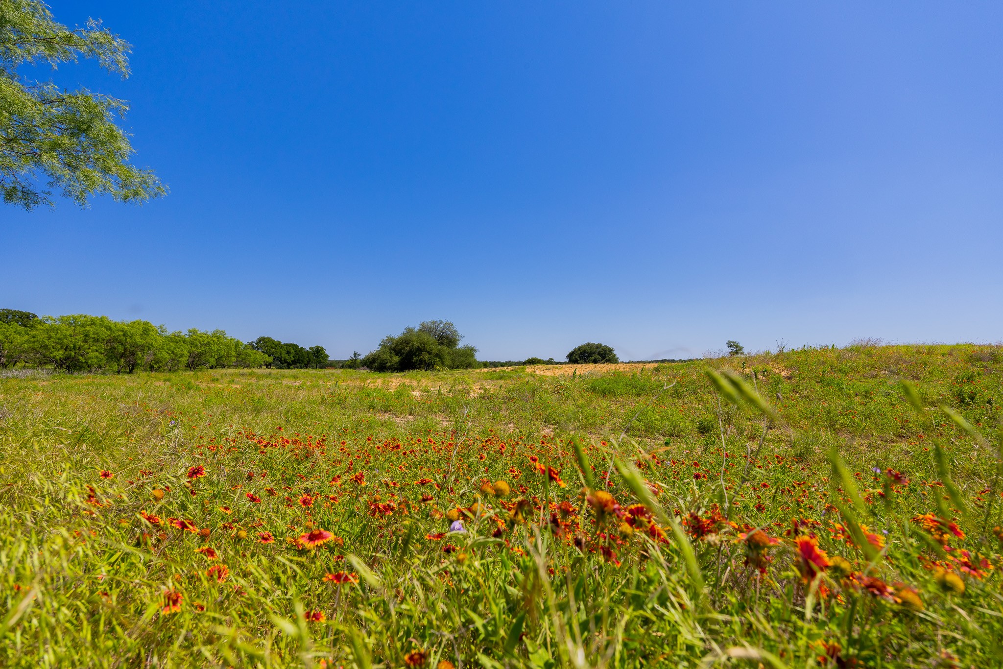 180 Rolling Pond Ranch Road Purmela, TX 76566 - Photo 13 of 21