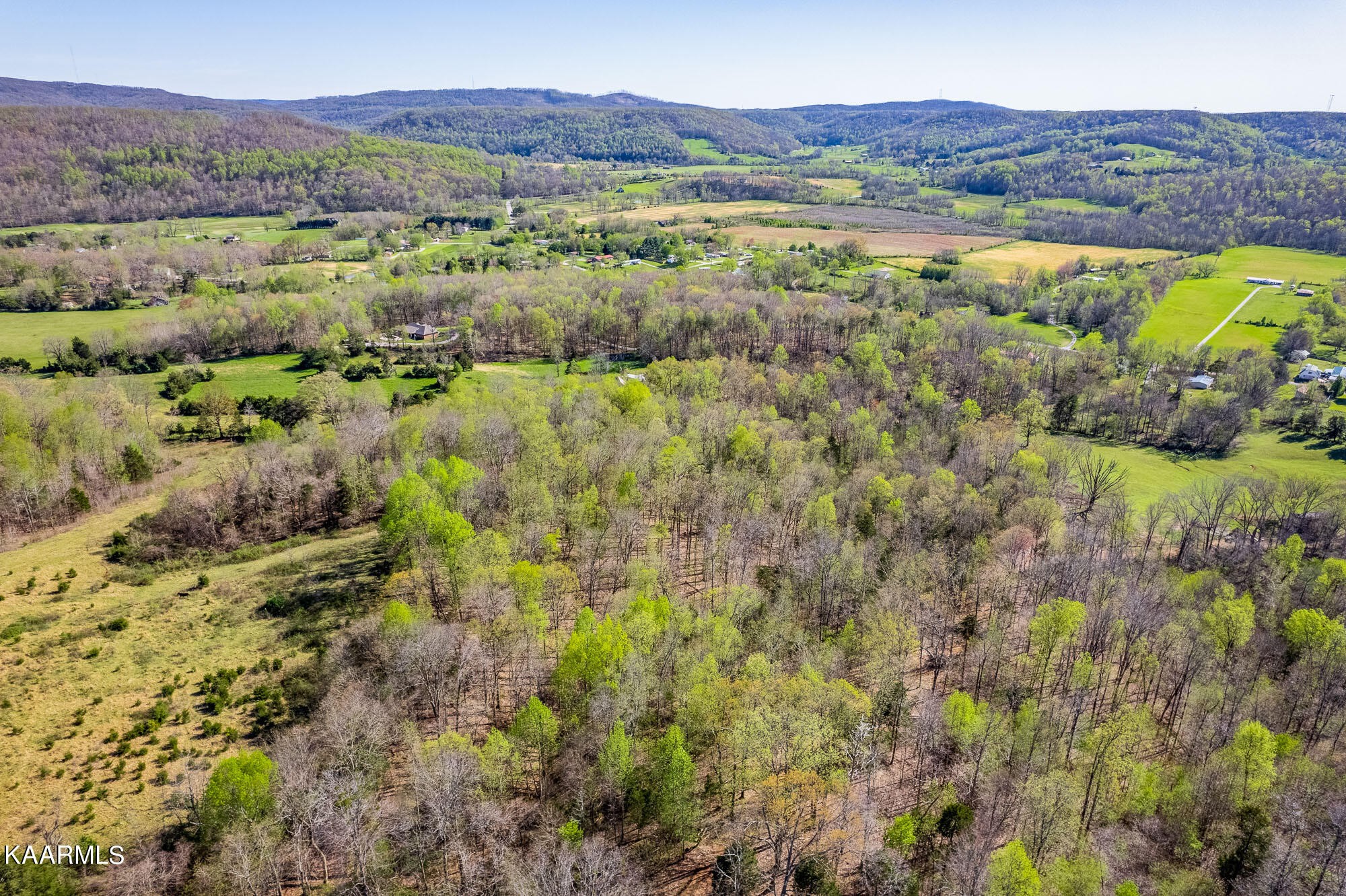 0 28.58 Ac Spring Creek Road Cookeville, TN 38506 - Photo 19 of 25 Gallery Image 19