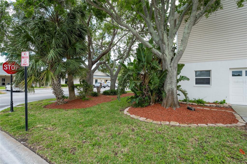 1612 1st Street Indian Rocks Beach, FL 33785 - Photo 36 of 45