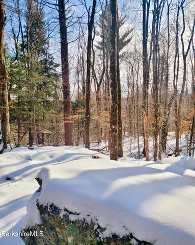 a view of a road with trees in the background