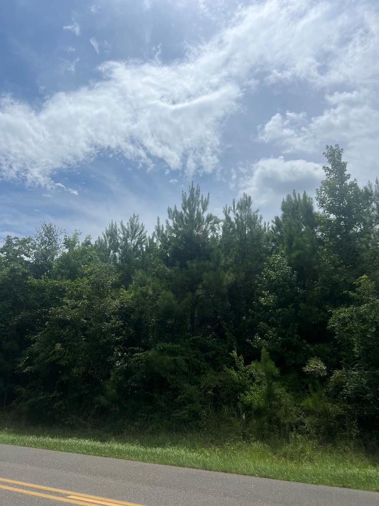 0 White Chapel Road Carriere, MS 39426 - Photo 1 of 1 Main View