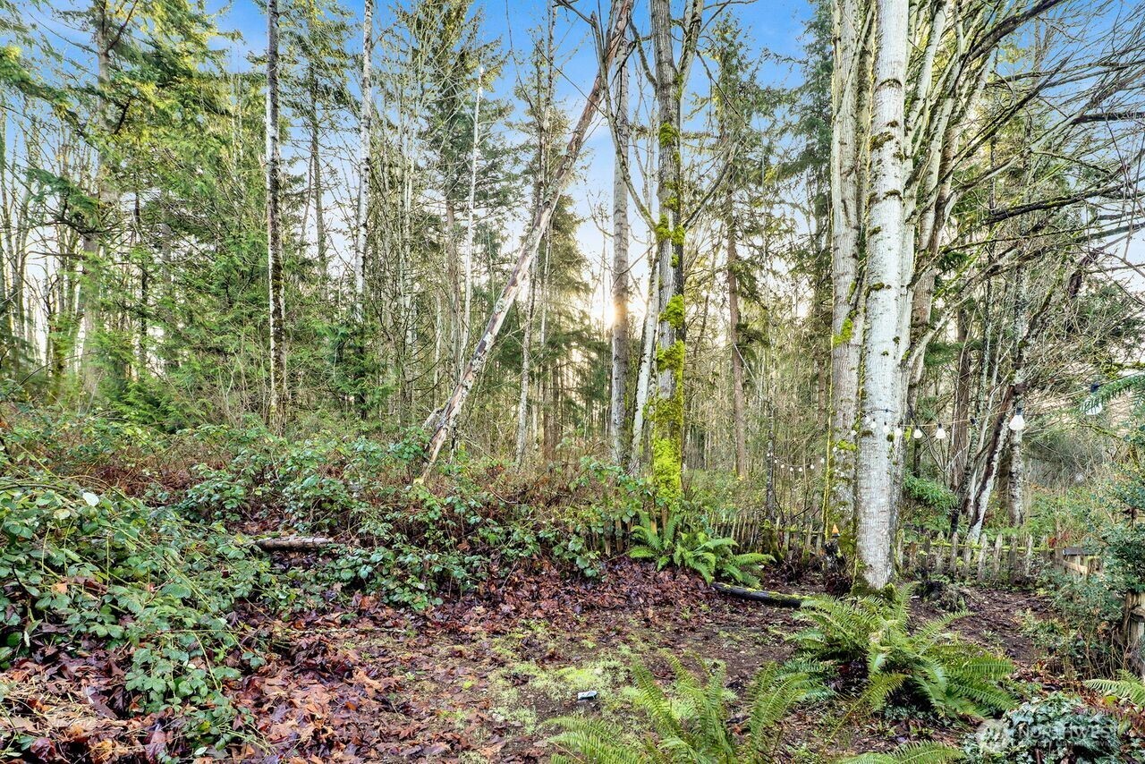 840 Nevada Street Bellingham, WA 98229 - Photo 38 of 38 a view of a garden with trees