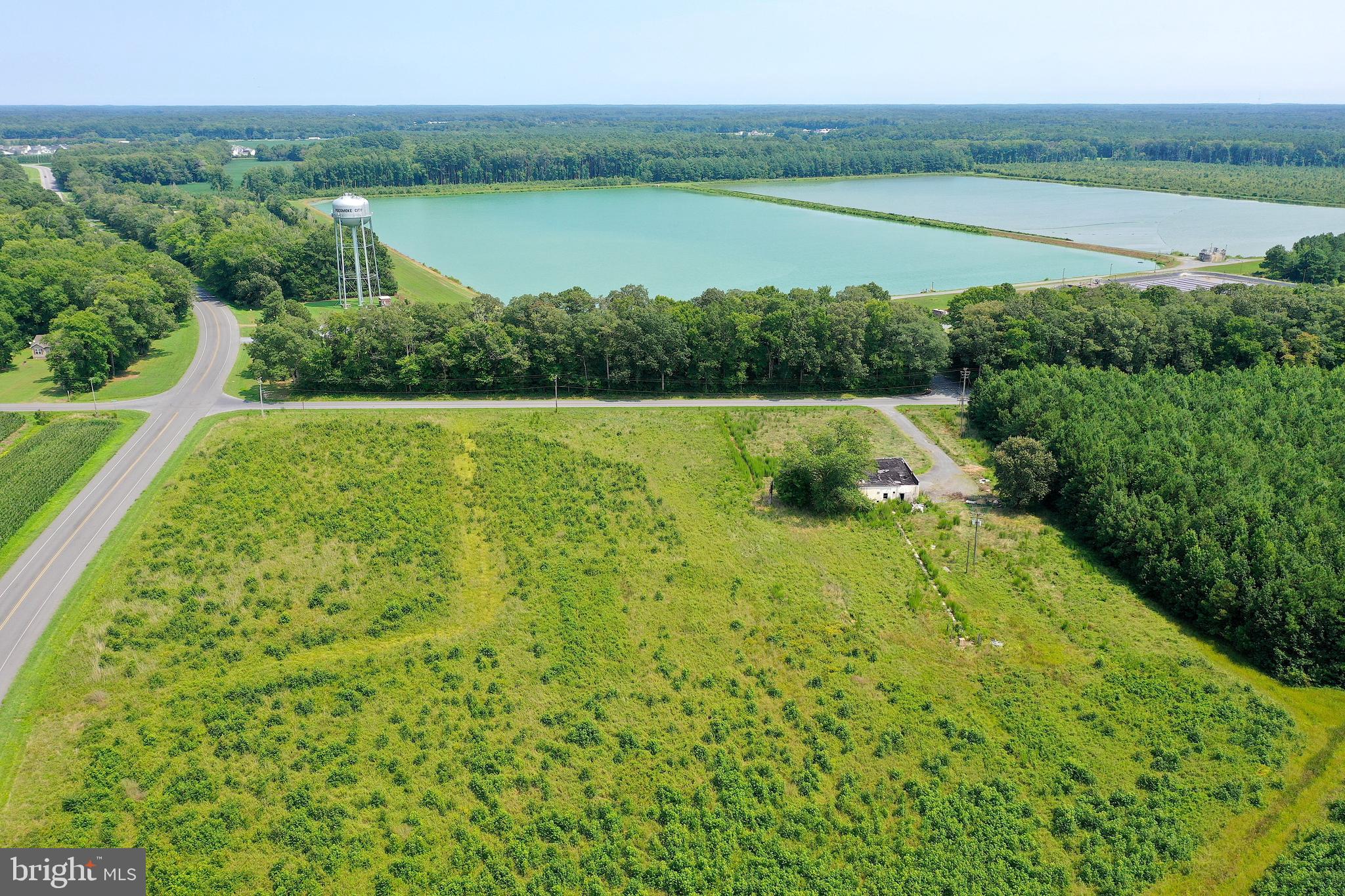 1637 Dun Swamp Road Pocomoke City, MD 21851 - Photo 12 of 22 a view of a lake with a yard
