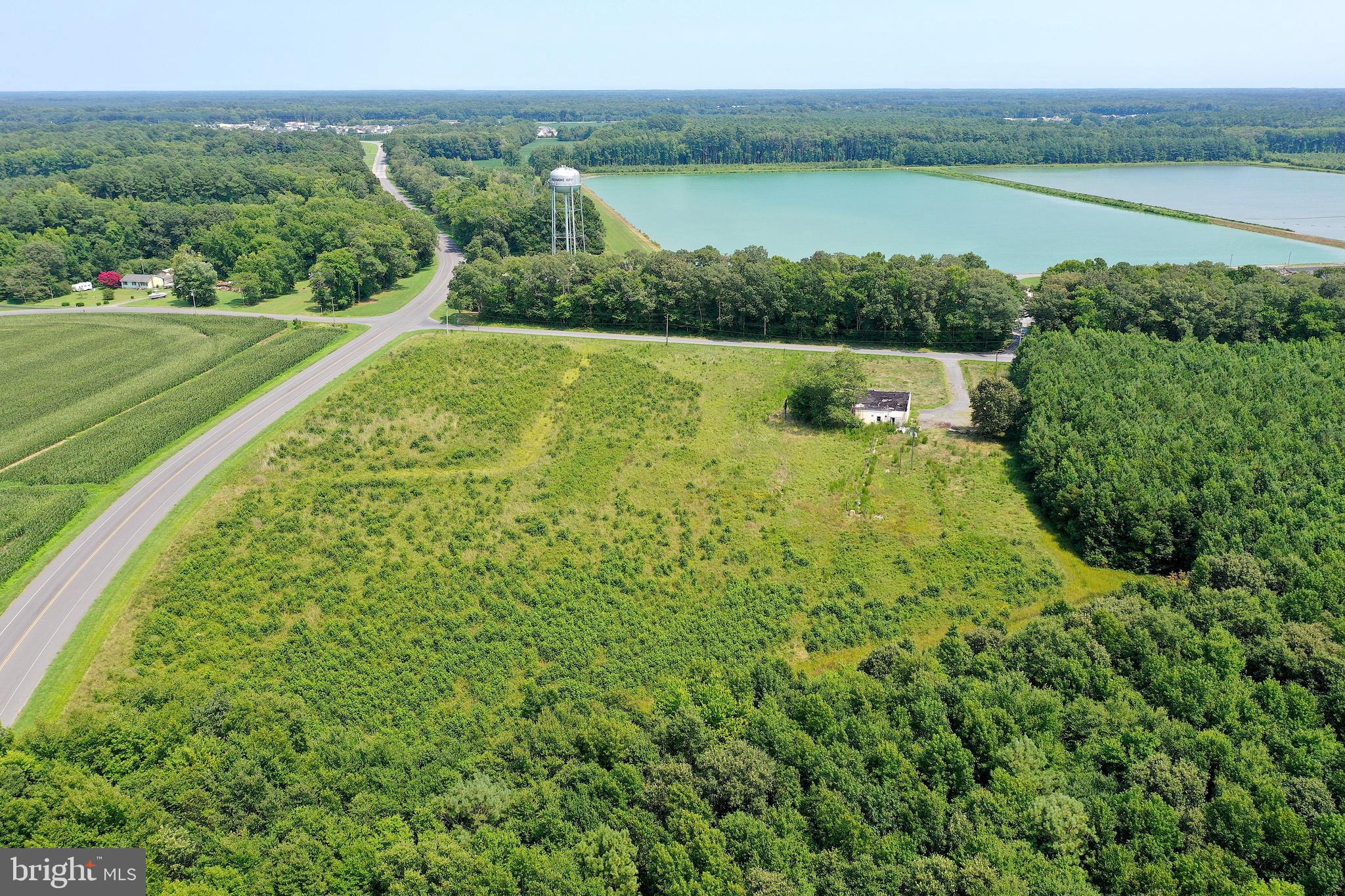 1637 Dun Swamp Road Pocomoke City, MD 21851 - Photo 14 of 22 a view of a lake from a yard