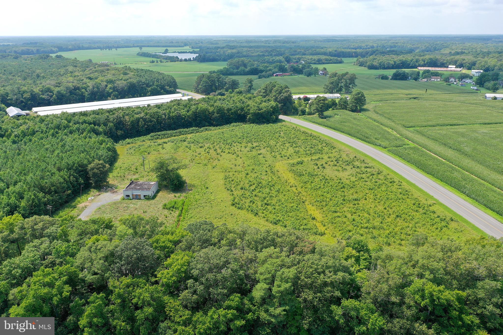 1637 Dun Swamp Road Pocomoke City, MD 21851 - Photo 16 of 22 a view of a lush green field