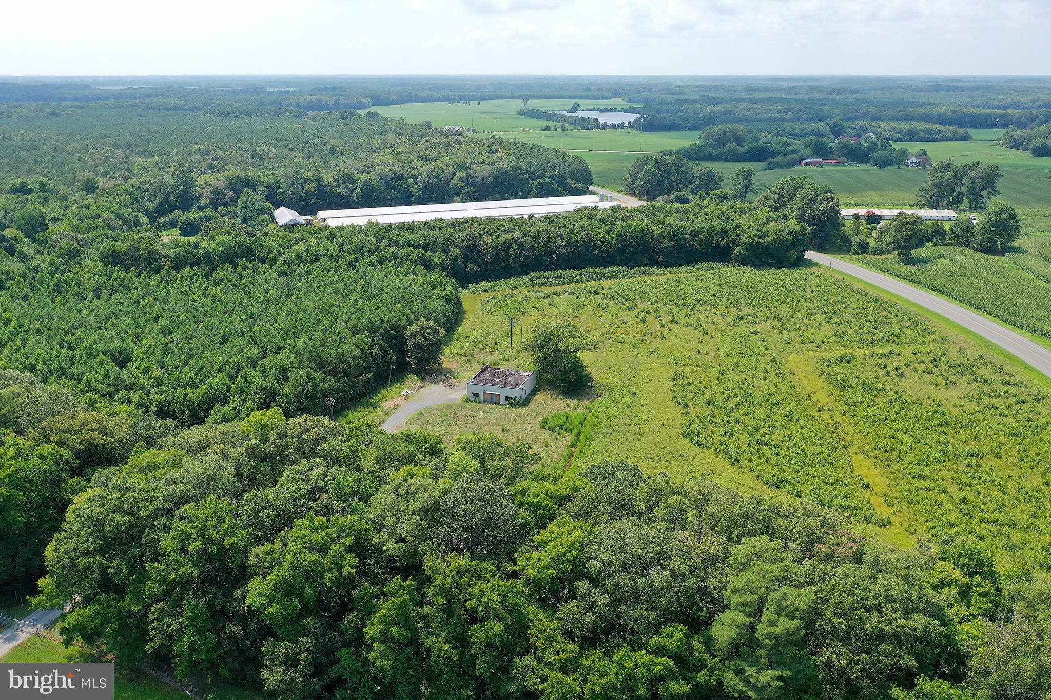 1637 Dun Swamp Road Pocomoke City, MD 21851 - Photo 17 of 22 an aerial view of green landscape with trees houses and mountain view