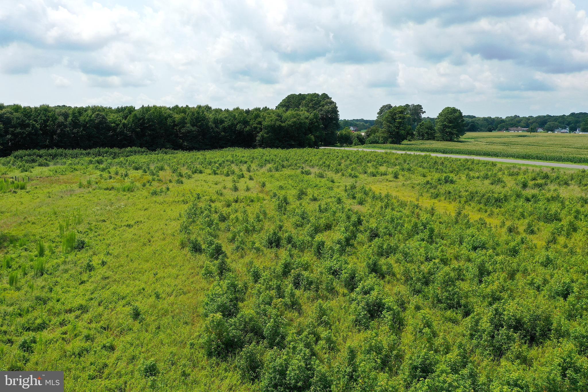 1637 Dun Swamp Road Pocomoke City, MD 21851 - Photo 19 of 22 a view of a green field with wooden fence