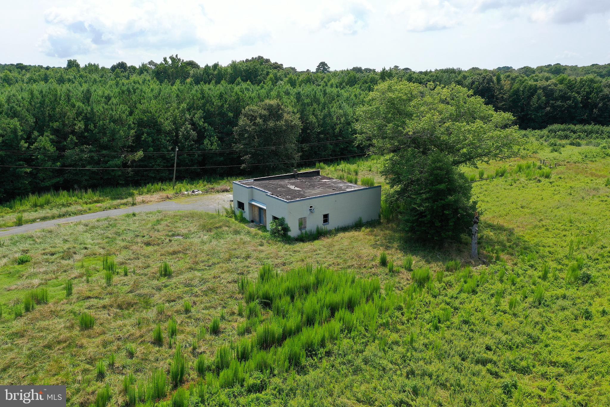 1637 Dun Swamp Road Pocomoke City, MD 21851 - Photo 2 of 22 a backyard of a house with lots of green space