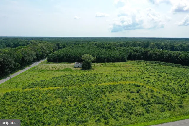 a view of lush green field