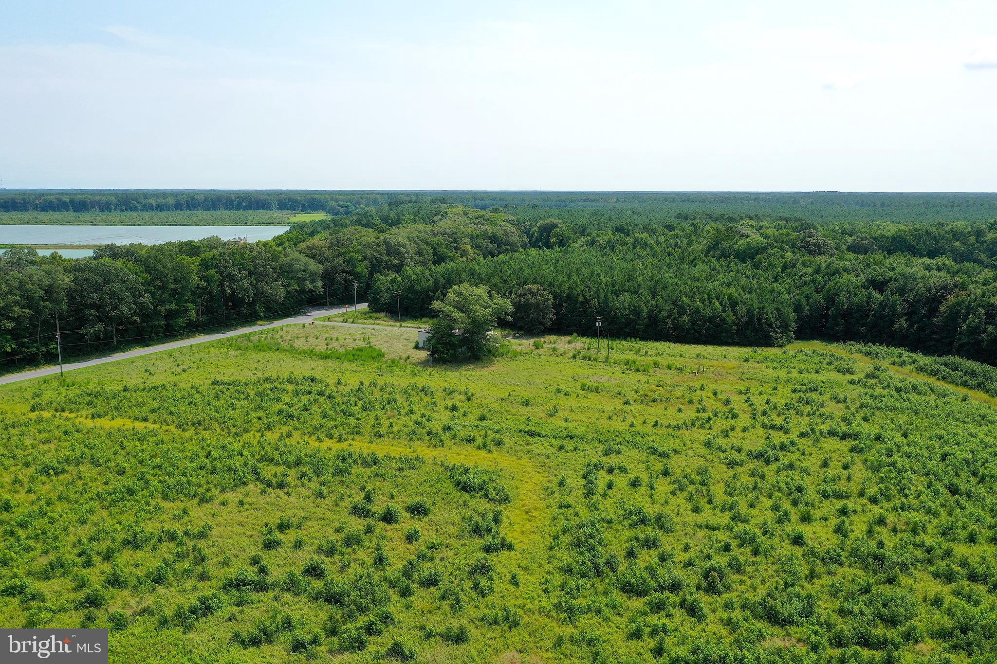 1637 Dun Swamp Road Pocomoke City, MD 21851 - Photo 4 of 22 a view of lush green field