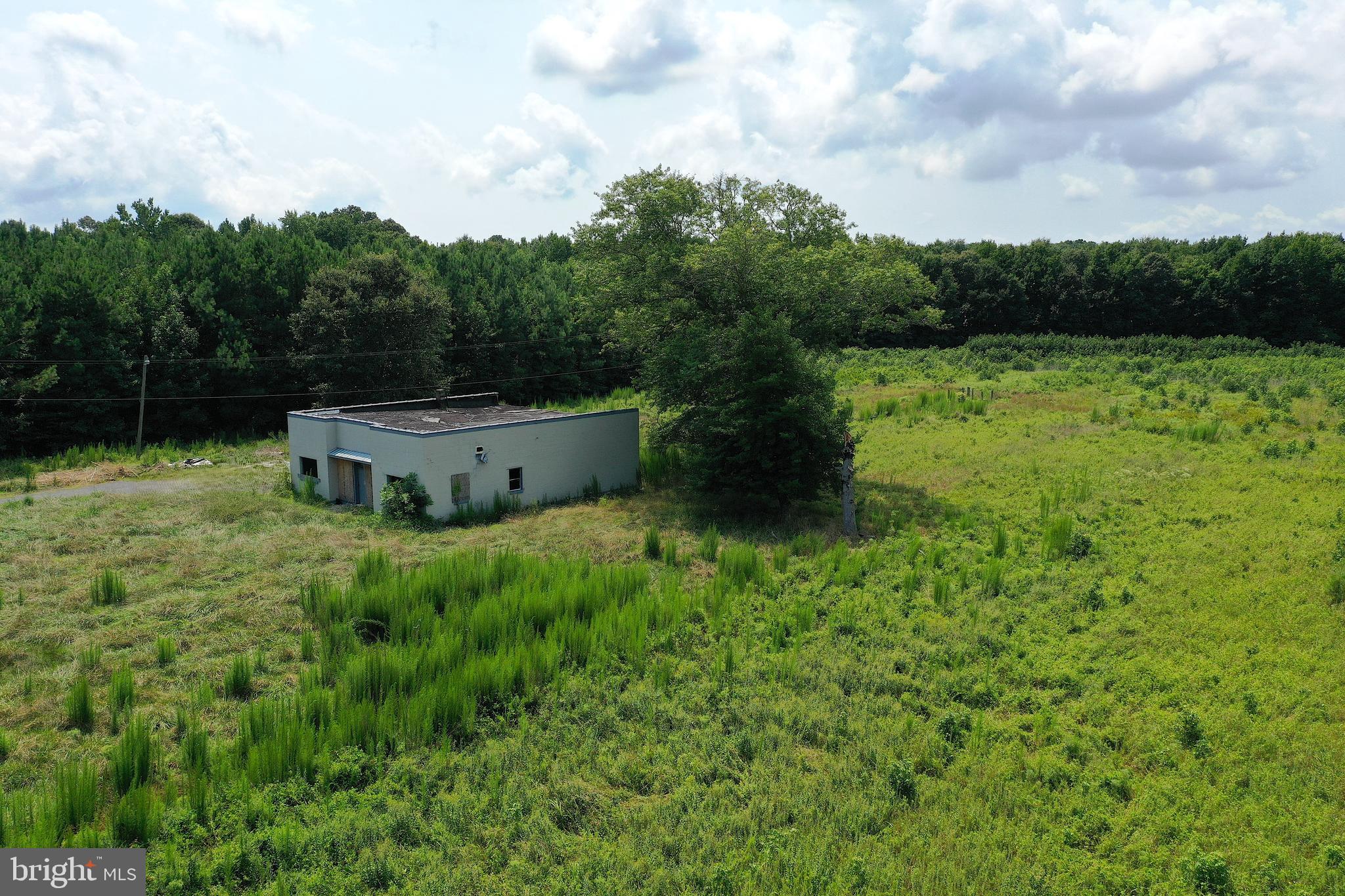 1637 Dun Swamp Road Pocomoke City, MD 21851 - Photo 5 of 22 a view of a lush green field