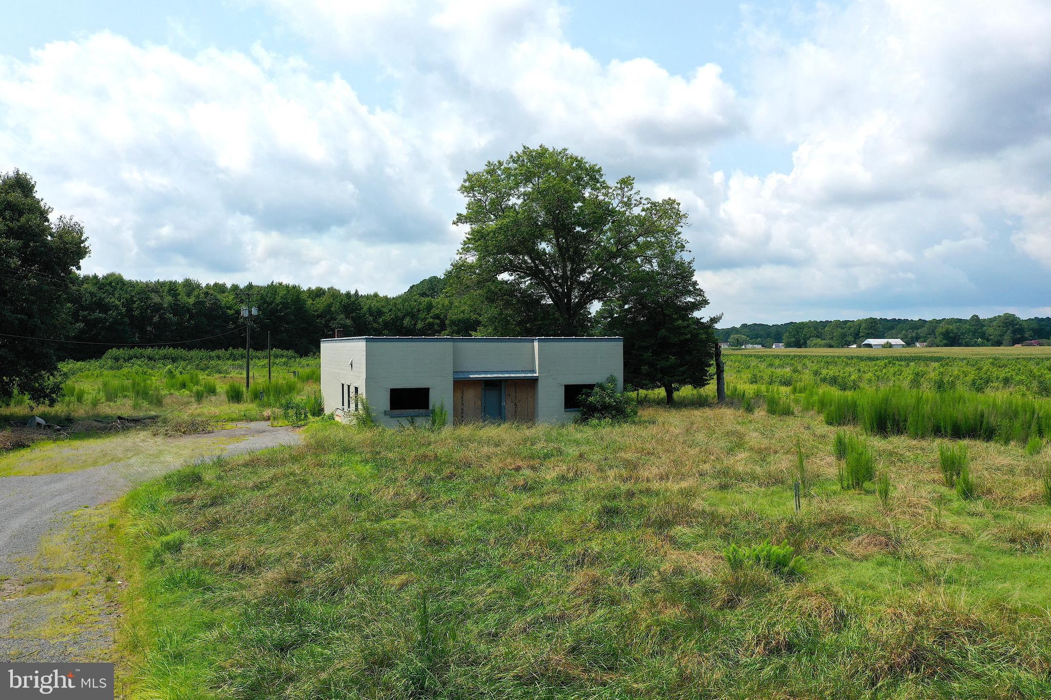 1637 Dun Swamp Road Pocomoke City, MD 21851 - Photo 7 of 22 a view of a house with backyard and garden