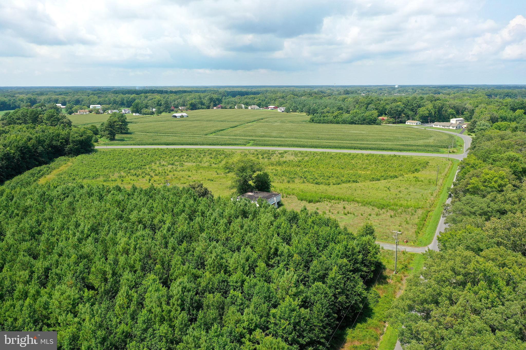 1637 Dun Swamp Road Pocomoke City, MD 21851 - Photo 8 of 22 a view of a big yard with a large trees