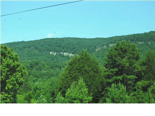 1 Freeman Road Pikeville, TN 37367 - Photo 3 of 4 Additional Photo