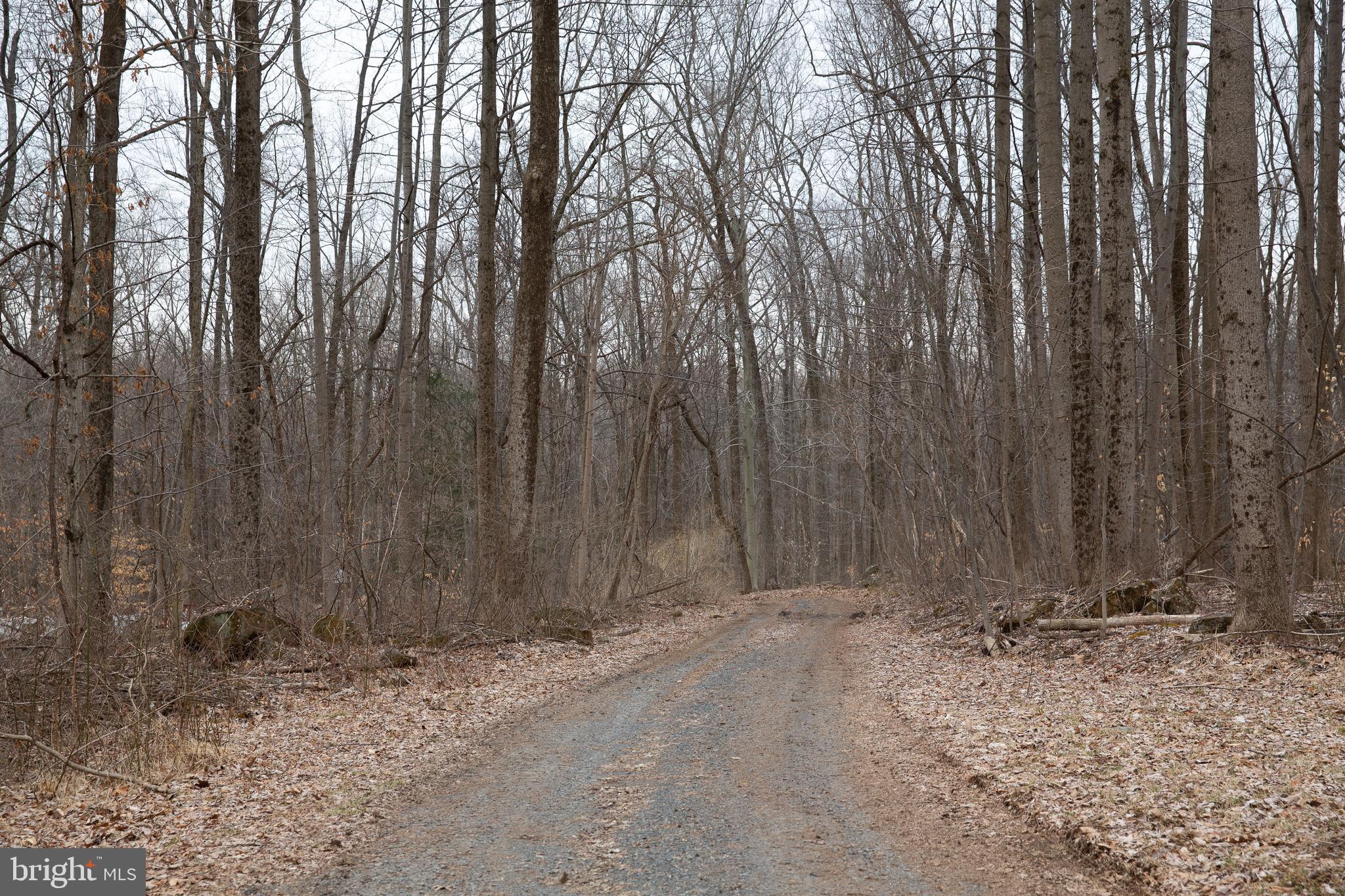3397 Sterner Mill Road Quakertown, PA 18951 - Photo 24 of 30 Private driveway through the woods