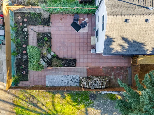 a view of a garden with plants