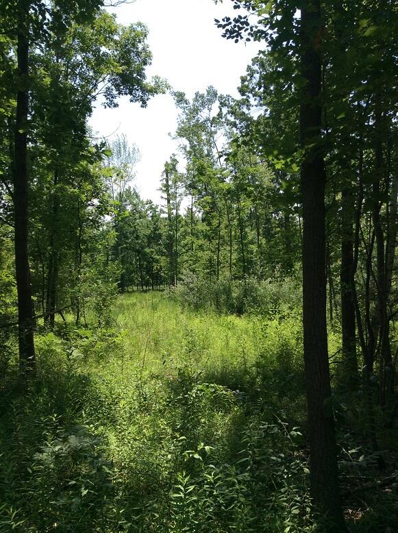 3800 South Castor Road Coleman, MI 48618 - Photo 22 of 34