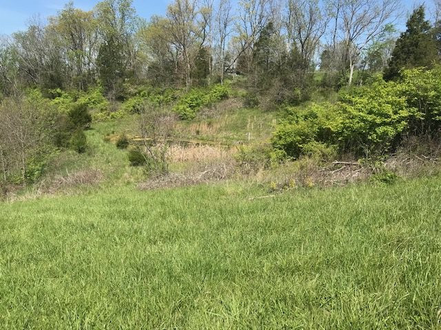 5953 Hogg Ridge Road Williamstown, KY 41097 - Photo 48 of 50 Gallery Image 48