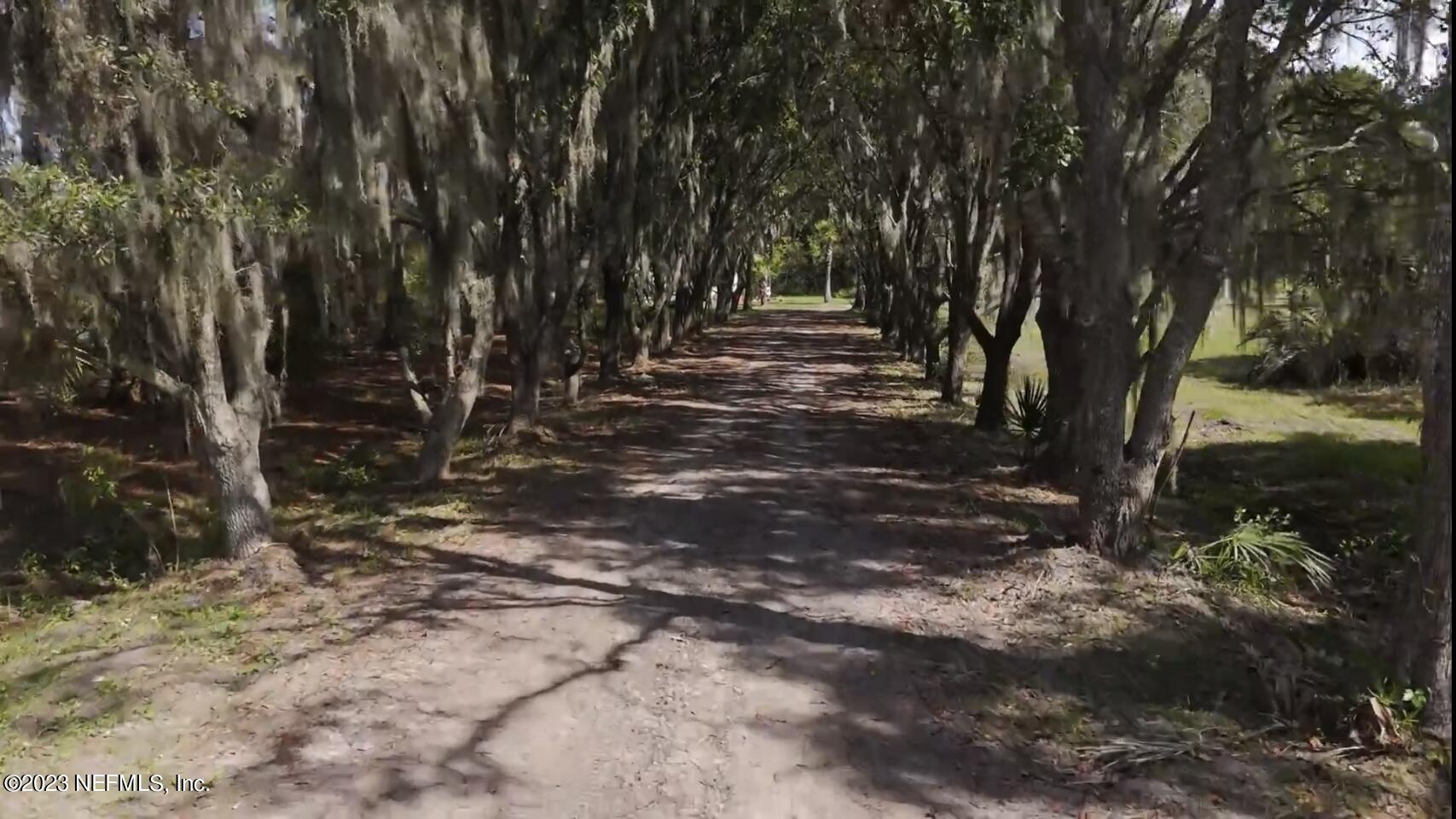 8888 Reid Packing House Road Hastings, FL 32145 - Photo 15 of 46 8888 Reid Packing House Rd driveway