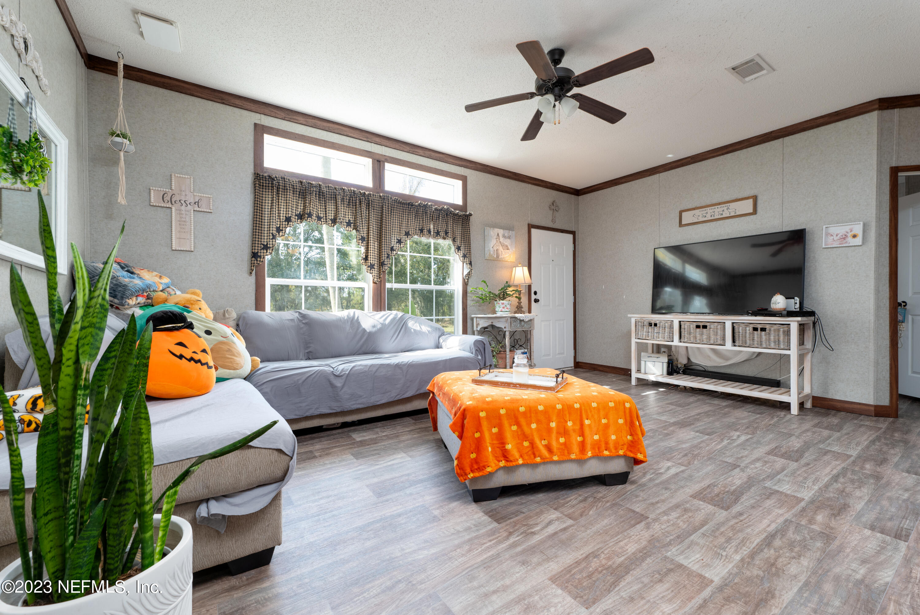 8888 Reid Packing House Road Hastings, FL 32145 - Photo 27 of 46 8888ReidPackingHouseRdHastingsFL-42