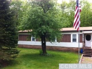 103 Joel M Austin Road Cairo, NY 12413 - Photo 1 of 6 Photo 1