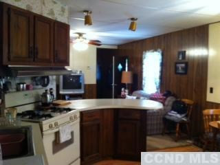 103 Joel M Austin Road Cairo, NY 12413 - Photo 5 of 6 Photo 5