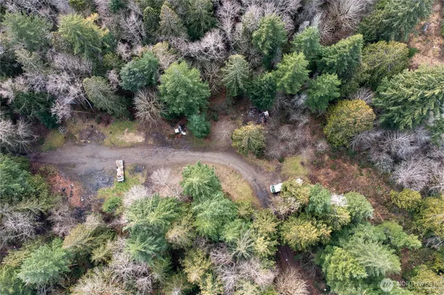 an aerial view of residential house with space and trees all around