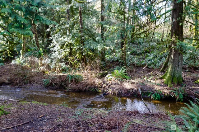 a view of a lake with green space