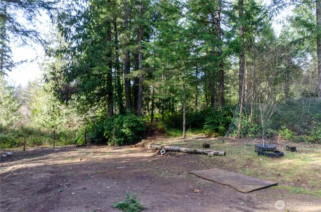 a view of backyard space