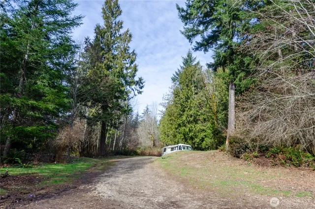a view of a field with plants and trees