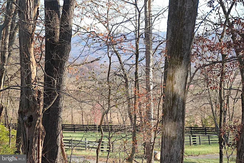 1362 Shepherds Mill Road Berryville, VA 22611 - Photo 22 of 25 Exterior