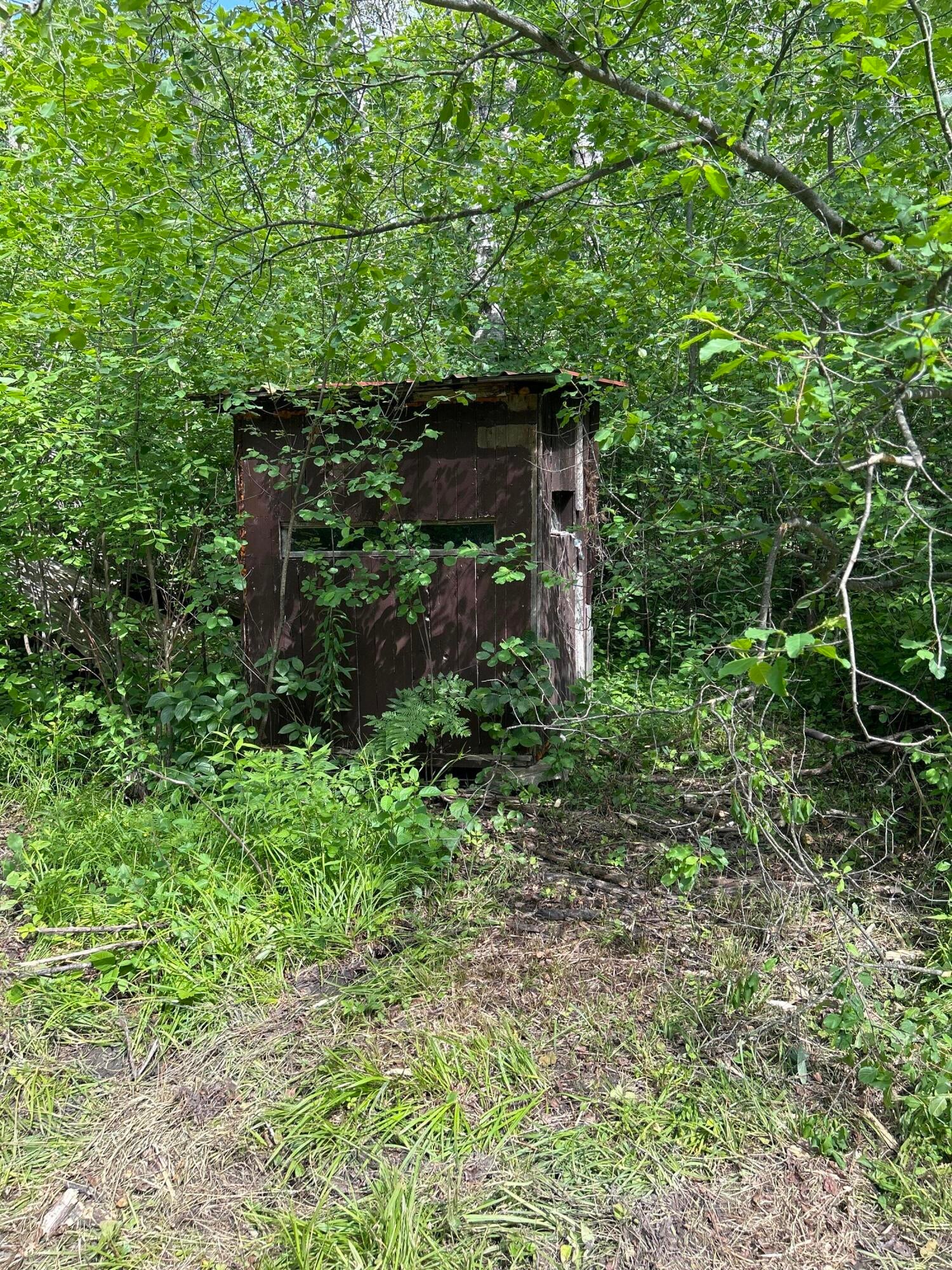 Salina Road Lachine, MI 49753 - Photo 17 of 26 Gallery Image 17