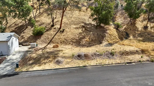a view of a yard with a tree