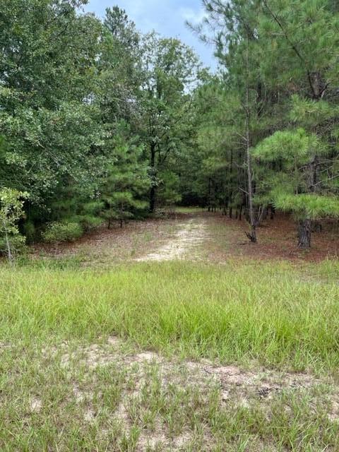 Lot 7 Cooks Pond Road Road Windsor, SC 29856 - Photo 2 of 5