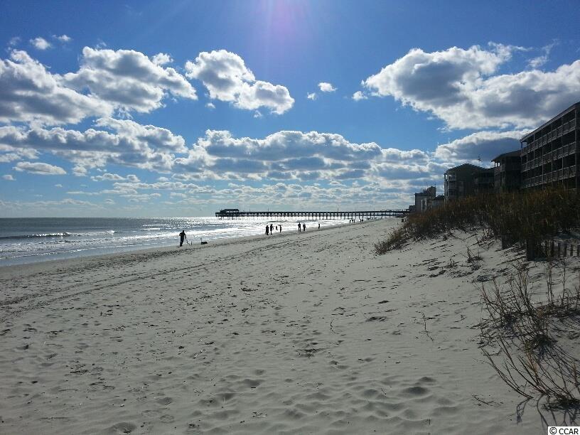 223 Reindeer Road South Surfside Beach, SC 29575 - Photo 27 of 28 Gallery Image 27