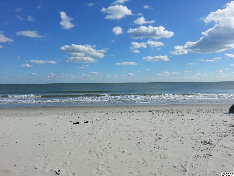 223 Reindeer Road South Surfside Beach, SC 29575 - Photo 28 of 28 Gallery Image 28