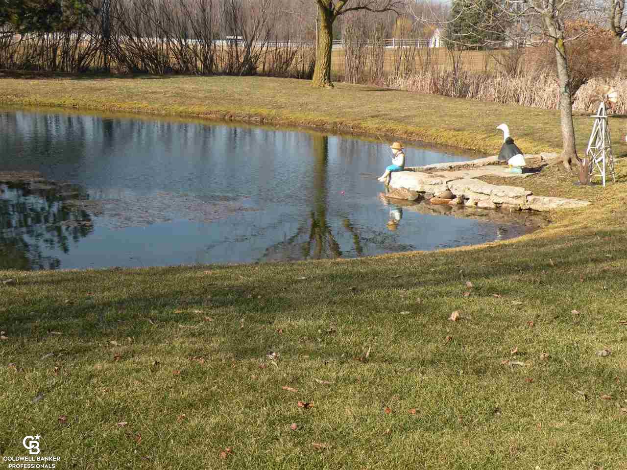 2665 Riley Center Road Memphis, MI 48041 - Photo 35 of 42 Pond
