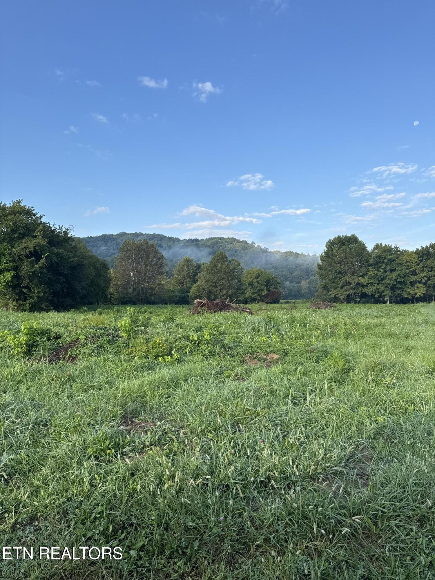 Tunnel Hill Road Helenwood, TN 37755 - Photo 11 of 13 IMG_9471